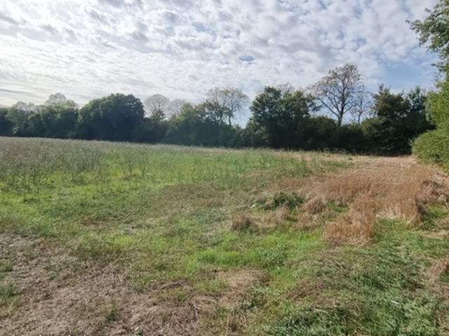 Surgères Vente Terrain 17