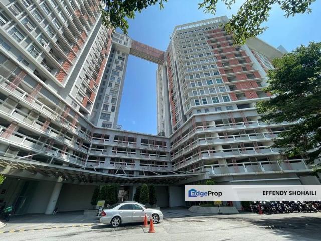 Suria Jelutong