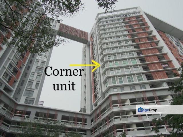 Suria Jelutong