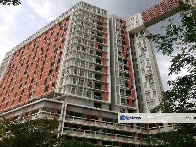 Suria Jelutong