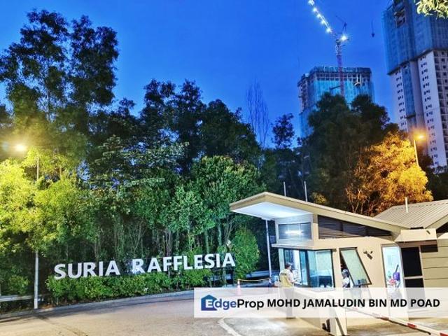 Suria Rafflesia