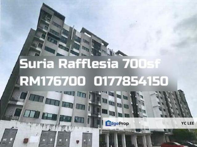 Suria Rafflesia