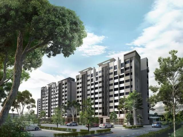 Suria Rafflesia, Seksyen U13, Setia Alam