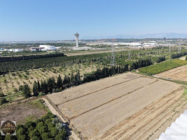 SÜRMELİ'DEN EXPO2016 YAKINI SATILIK TARLA 4178 M2 SERA VE DEPO