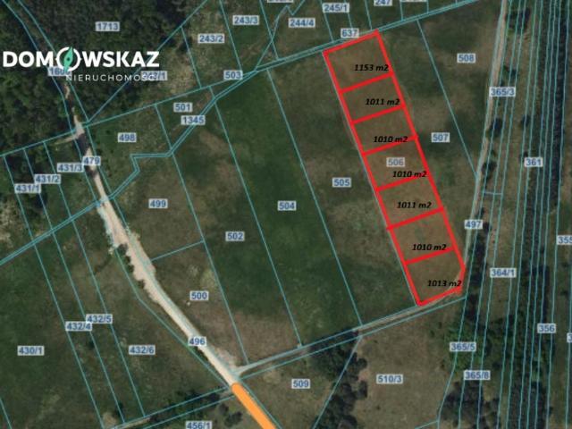 Surmy 1 013 m², Brudzowice