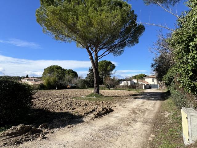 Sussargues Vente Terrain 34