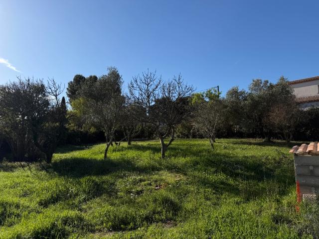 Sussargues Vente Terrain 34