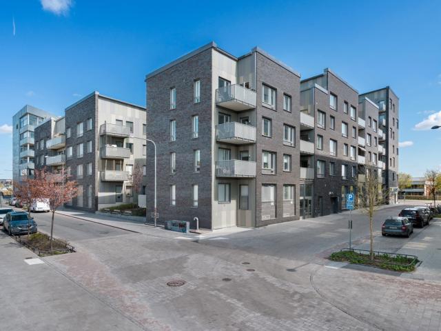 Svärdsliljegatan 4