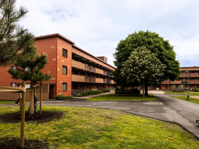 Svedjestråket 19