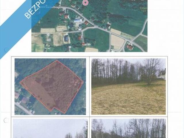 Syndyk sprzeda udział 2/3 w prawie własności nieruchomości gruntowej niezabudowanej położonej w Stró