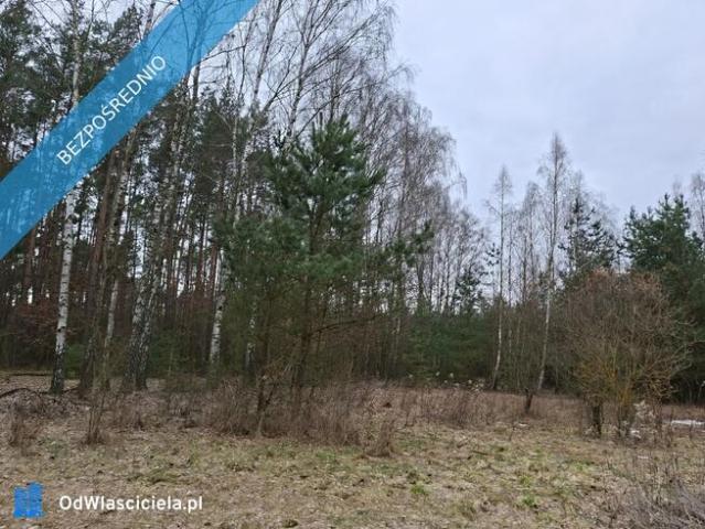 Syndyk sprzeda udział 3/8 w prawie własności nieruchomości gruntowej Nuna, dz. ew. 278