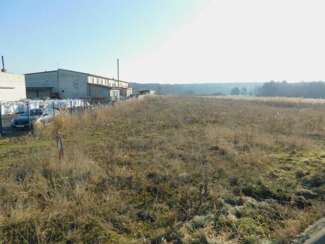 Syndyk sprzeda Mogielnica, dz. nr 1656 i 1745