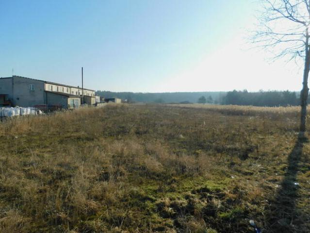 Syndyk sprzeda Mogielnica, dz. nr 1657 i 1746