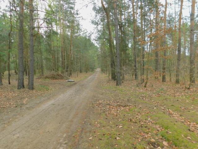 Syndyk sprzeda Radom, ul. Andersena