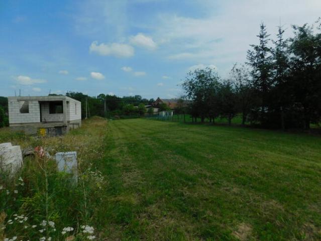 Syndyk sprzeda Rykały
