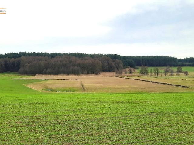 Sycyn, Centrum, 1 500 m2