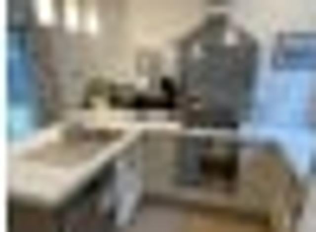 Sydenham, 3 bedrooms, $585 pw