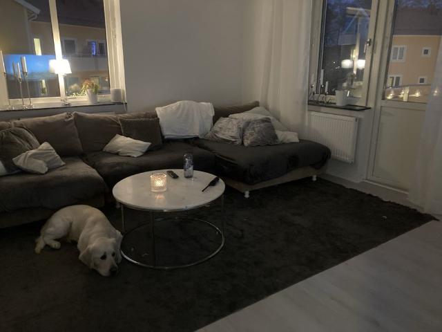 Sydsvängen, Linköping