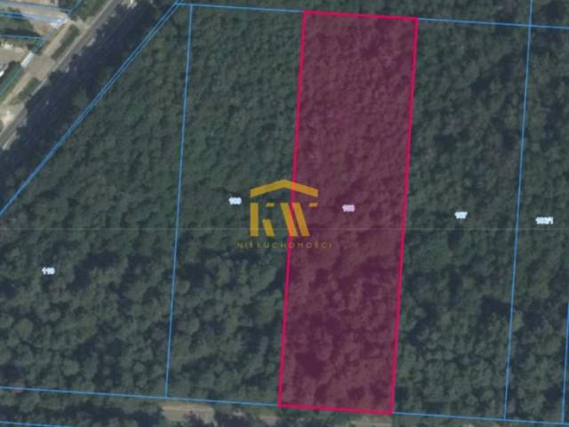 Sygietyńskiego 5 181 m², Radom