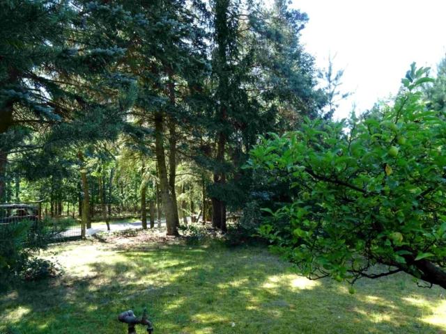 Szosa Wronczyńska 849 m², Tuczno