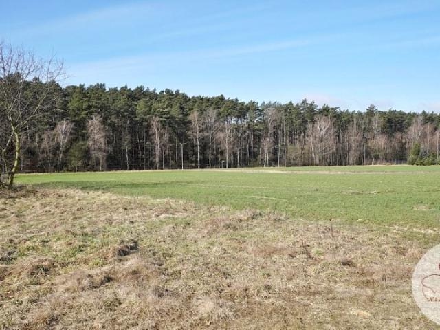Szałwiowa 1 494 m², Sowinki