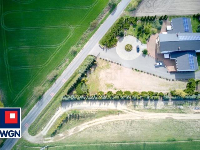 Szamotulska 1 667 m², Grzebienisko