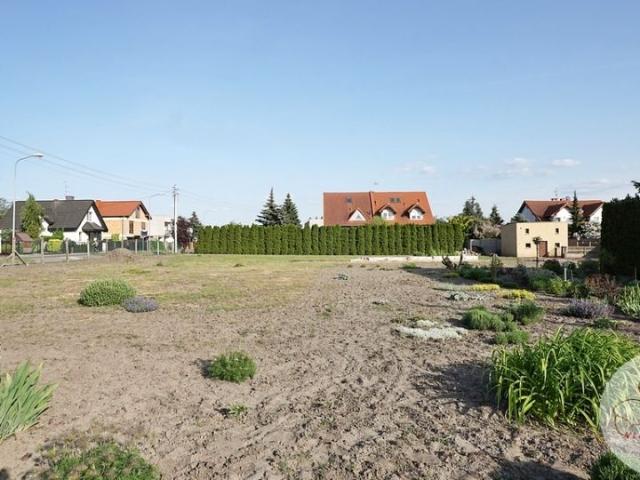 Szarotkowa 1 426 m², Poznań