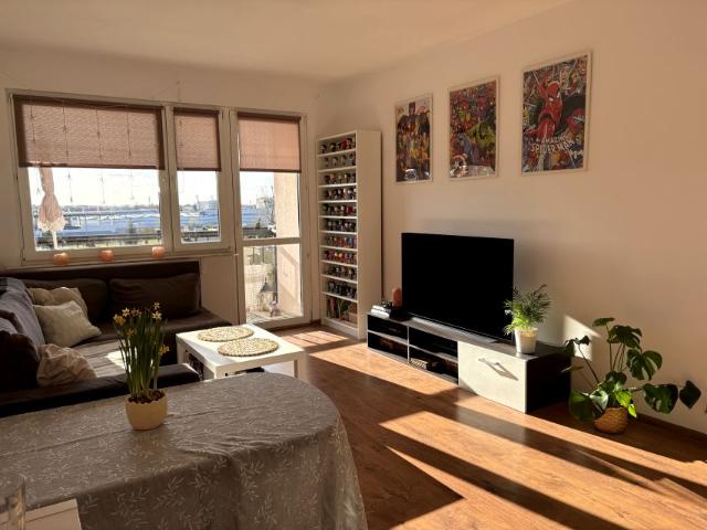 Szarych szeregów 47 m², Opole