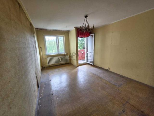 Szczecin, Książąt Pomorskich, Księżnej Anastazji