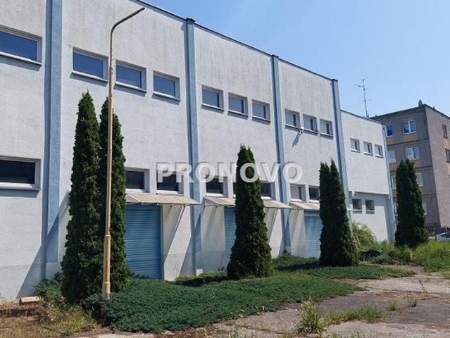 Szczecin M. Szczecin, Płonia