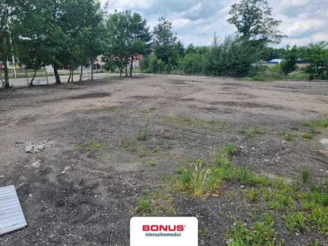 Szczecin, Płonia