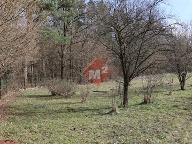 Szczecin, Płonia Śmierdnica Jezierzyce