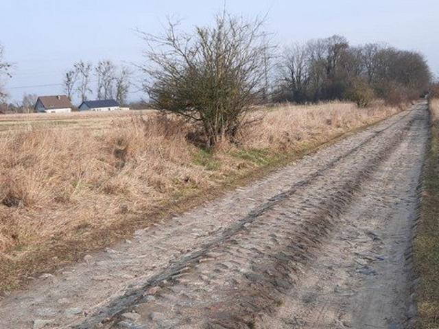 Szczecin, Skolwin, Inwalidzka, 2 867 m2