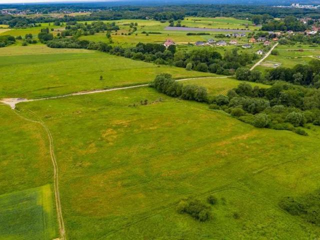 Szczecin, Skolwin, Karpacka, 800 m2