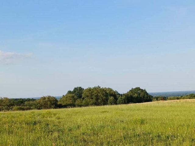 Szczecin, Skolwin, 1 200 m2