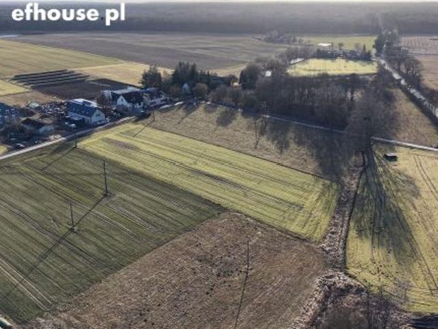 Szczepanowo, 5150 m² Działka