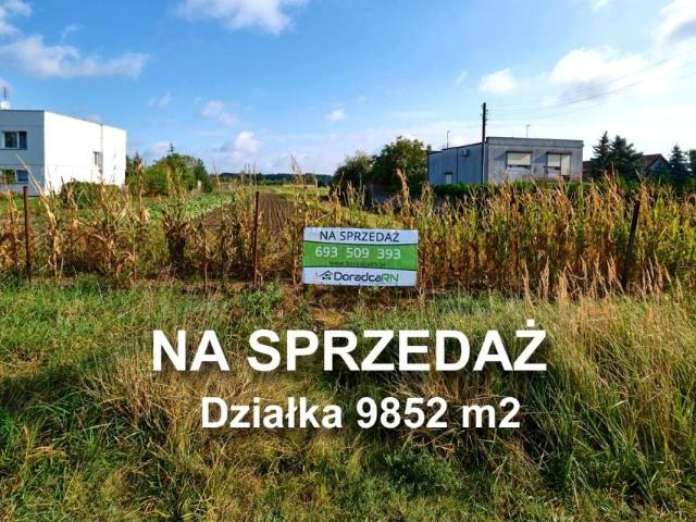 Szczepankowo 9 852 m², Poznań