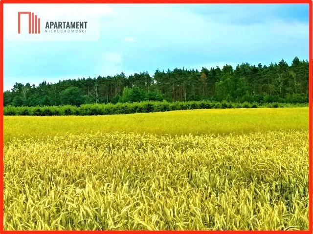 Działka 862 m² z mediami, las, 8 km od Bydgoszczy