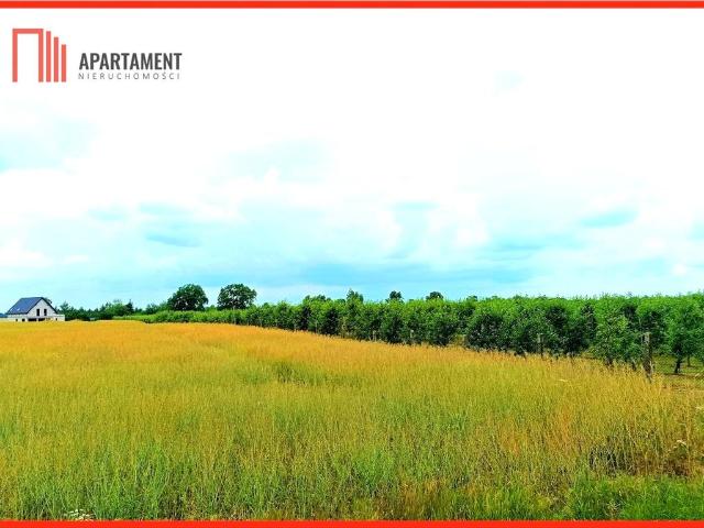 Działka pod zabudowę 1552 m2 z mediami, las, asfalt