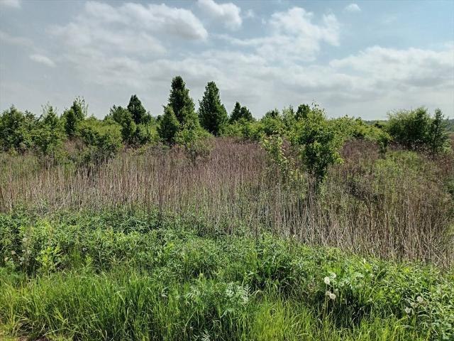 Szczypiorno, 1 100 m2