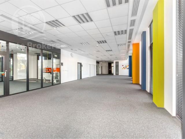 Szczytnicka 713 m², Wrocław