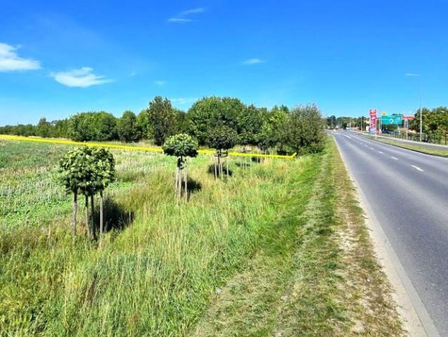 Szkolna 16 320 m², Rokietnica