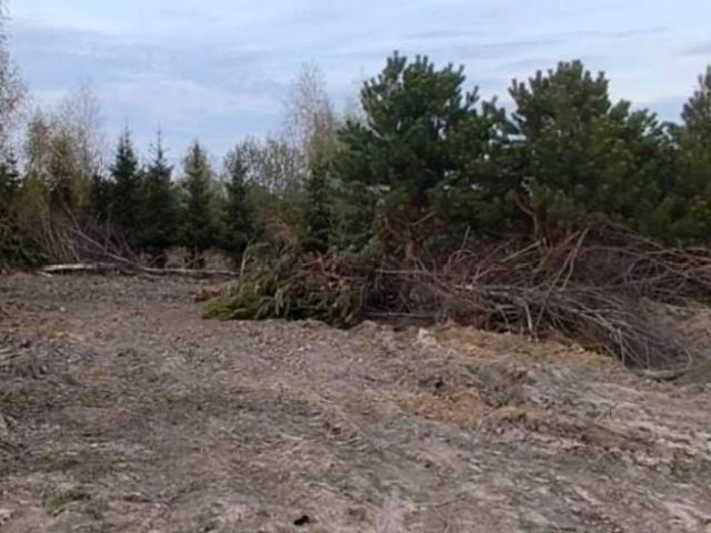 Szkolna 1 004 m², Kobylnica