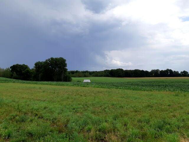 Szkolna 1 500 m², Pniewo