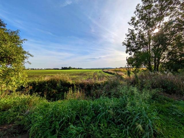 Szkolna 3 600 m², Sadowice