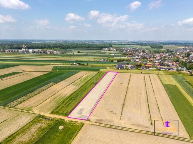 Szkolna 5 008 m², Chudów