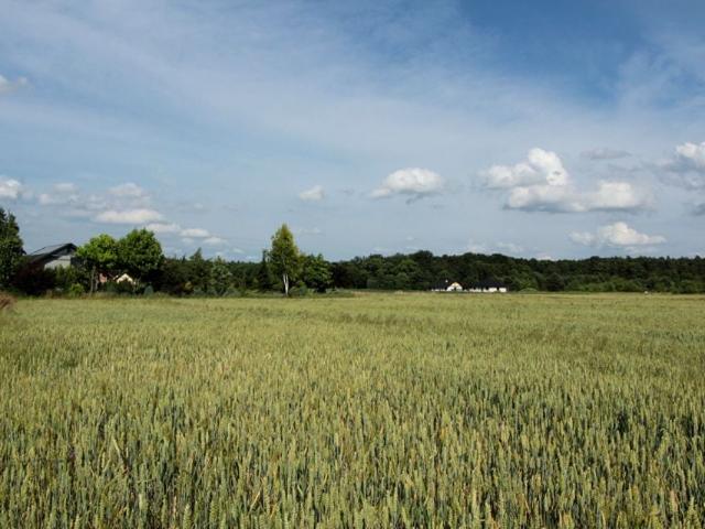 Szkolna 896 m², Karczów