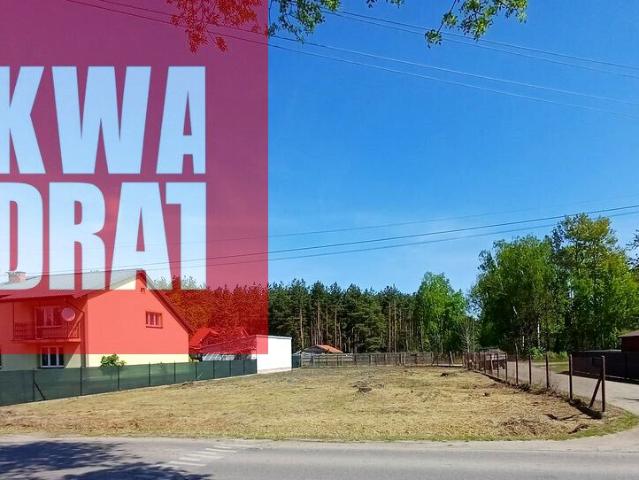 Szkolna 800 m², Pustelnik