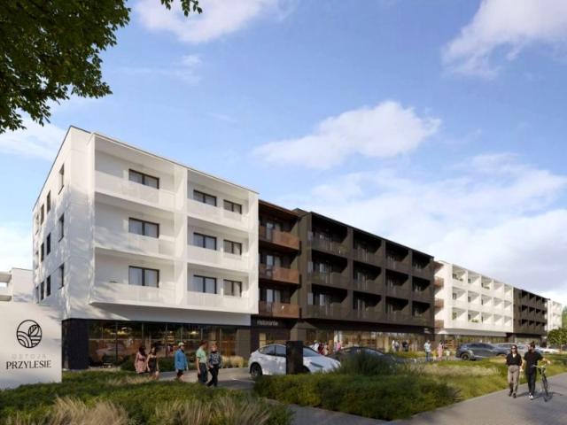 Szpitalna 90 m², Leszno