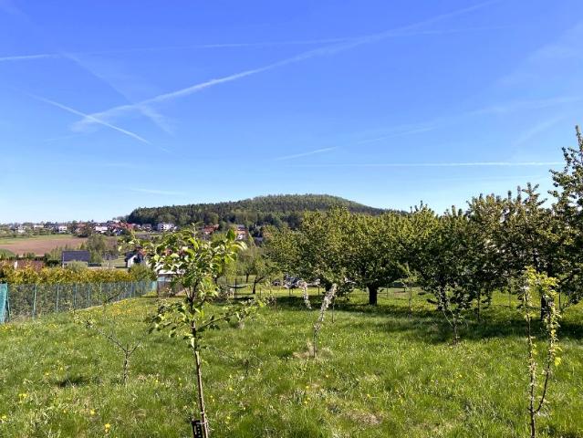Szpotawicka 1 739 m², Górki Wielkie